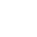 Team Leader